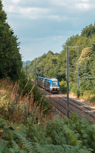 flickr-43382701101.jpg